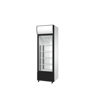 China Single-Temperature Single Door Freezer Commercial Upright Plug In Vertical Glass Door Cooler Beverage Fridge for sale