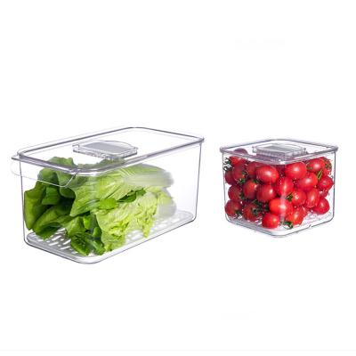 China Clear S and L Top Fridge Freshness Keeping Organizer Food Storage Bin With Draining Rack for sale