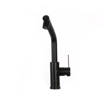 China Modern Black Single Handle Stainless Steel Color Style Bathroom Kitchen Faucet Luxury Modern Kitchen Faucet for sale