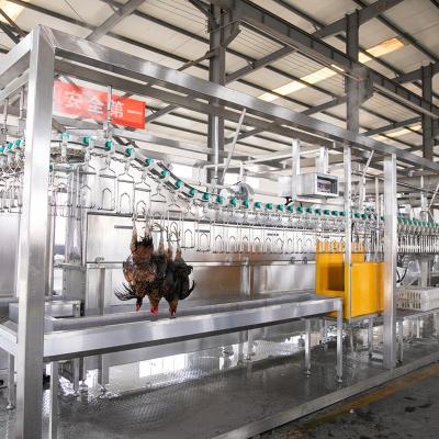 China Customized Slaughtering Line Factory Price 300-500BPH Contract Chicken Slaughterhouse Equipments Poultry Processing Machinery for sale