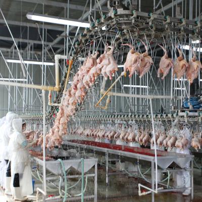 China POULTRY good quality halal poultry slaughtering equipment /chicken slaughtering line/chicken slaughtering machine for sale