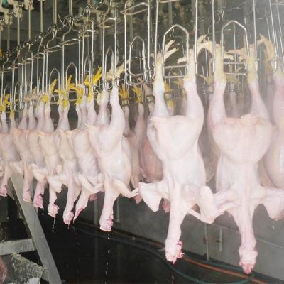 China Customized Slaughtering Line Middle East Market Chicken Slaughterhouse Slaughtering Machine For Poultry Processing Line/Factory for sale