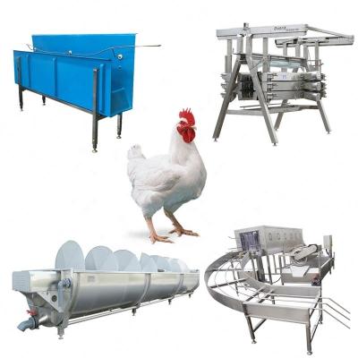 China Customized Slaughter Line 1000BPH Chicken Slaughtering Production Line With Good Price And Service for sale