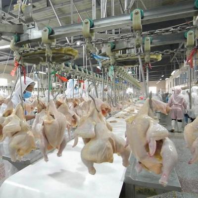 China Customized halal slaughter line duck chicken slaughter line for sale