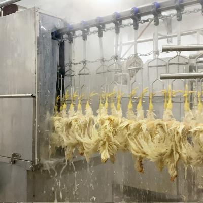 China Customized Slaughter Line Qingdao Raniche Broiler Factory Chicken Killing Machine Mini Meat Processing Abattoir for sale