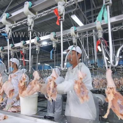 China Customized Slaughtering Line Qingdao Raniche Small Chicken Processing Slaughter Plant Poultri for sale