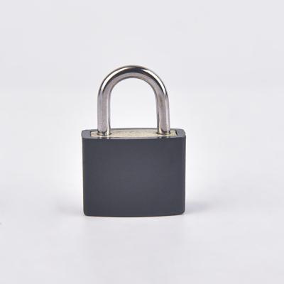 China Candado Durable Cheap Direct Sales Copper Padlock High Security 20MM Price Standard Eco-friendly Padlock Iron for sale