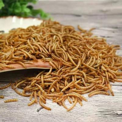 China Insects Freeze Dried Mealworms with High Calcium Nutrition Facts for sale