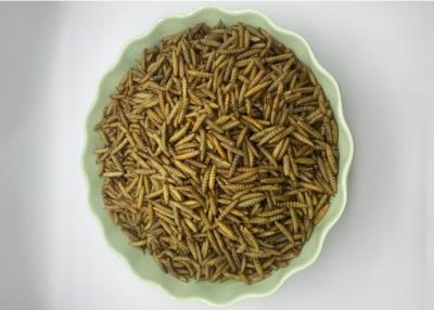 中国 Feeding Pet Mealworms Frozen-Dried dried mealworms for chickens 販売のため