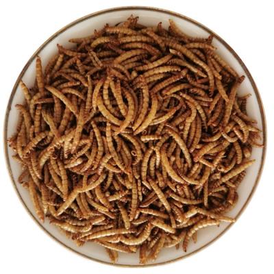 China Mealworms Yee Fish Food Dried Mealworms 100%Pure Natural Bulk Wholesale Nirds Fish Small Pet Food for sale