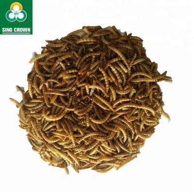 China Storage Dry And Cool Place Mealworms Fish Food with Sino Crown for sale