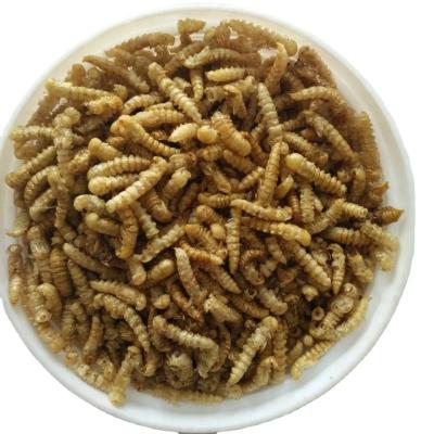 China Insects Based Mealworms Fish Food With Iron Nutrition Facts - S Origin for sale