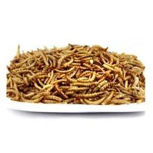 China Premium Export Grade Dried Mealworms Ingredients Include Mealworms for sale