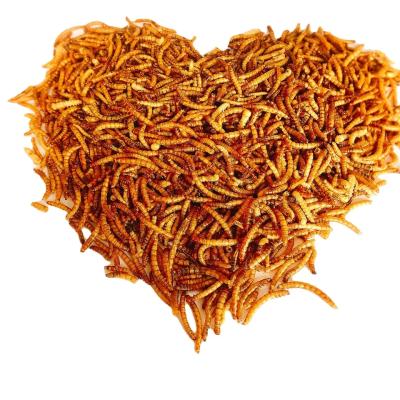 China Premium Dried Mealworms - Sino Crown for Mealworms Fish Food for sale