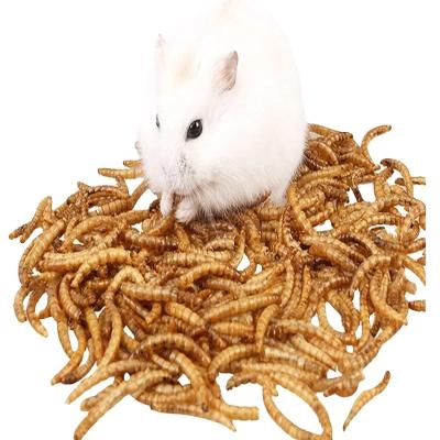 China Iron Nutrition Facts for Pet Feeding with Freeze-Dried Mealworms for sale