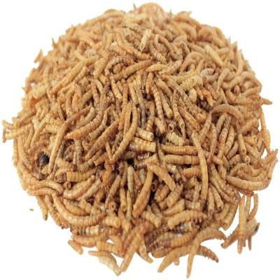 China s Best-Selling Mealworm Oil as Pet Food Additives for Optimal Nutrition zu verkaufen