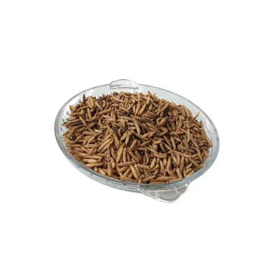 China Fine Powder Black Soldier Fly Powder with Black Soldier Fly Larvae and Minerals Iron for sale