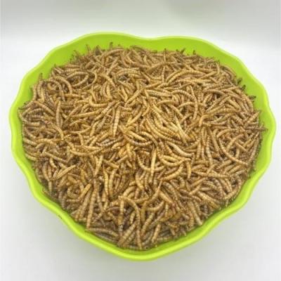 China High Protein Parrot Mixed Food Specialized Small Parrots Bird Food With Mealworms for sale