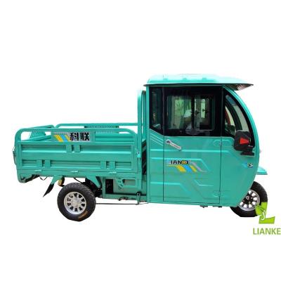 China Enclosed Electric Cargo and Passenger Tricycle Cabin 1000W Motor Power Electric Cargo Tricycle for sale