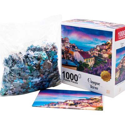 China Educational Toy Large Jigsaw Puzzle Blue Cardboard Cinque Terre 1000 Pieces Art Jigsaw Puzzles For Adults for sale