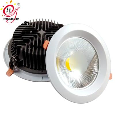 China Receseed High Power Ceiling Lighting 8 Inch 20W Aluminum Led COB Downlight for sale