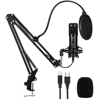 China Professional USB Microphone Microphone USB Studio Recording Echo Foldable F500 Condenser Microphone for sale