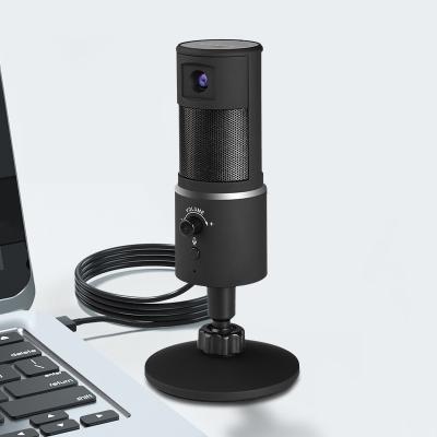 China USB Microphone KINSCOTER USB Microphone Set Streaming Recording Studio Equipment Microfono Condenser Microphone For PC for sale