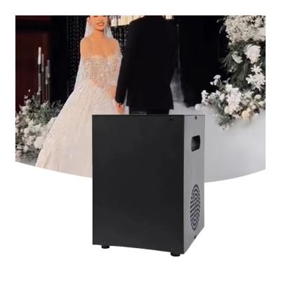 China Control Fog LED Smoke Machine for Wedding Disco Stage Customized 110V-220V LED RGB Mini for sale