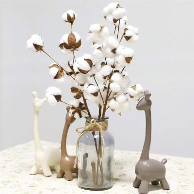 China Modern Flower Cotton Flower Ornament Decorative Dry White Home Flowers Branch Bridesmaid Bouquet Decor White Flower for sale