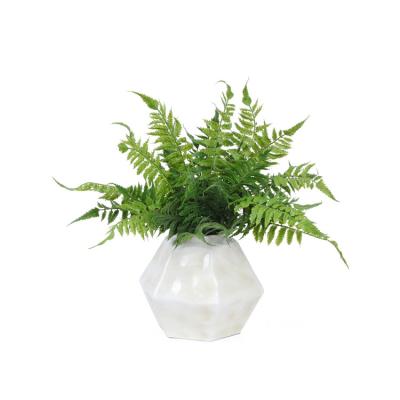 China Country Modern Home Decoration Modern Design Pteridophytes Flower 17inch Artificial Dry Flowers for sale