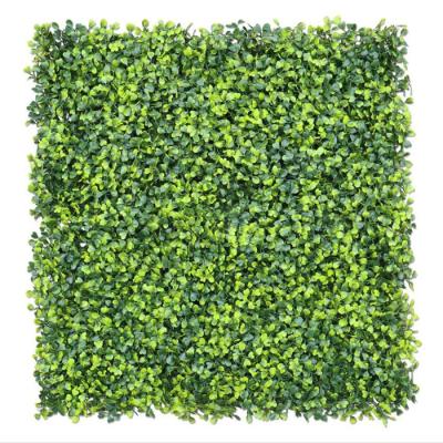 China Eco-Friendly Materials Factory Wholesale Artificial Boxwood Hedge Panels Indoor Vertical Garden Artificial Green Wall For Home Decoration for sale