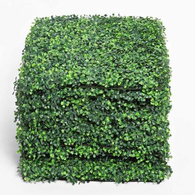 China Eco-Friendly Materials Wholesale Artificial Panel Hedges Roll Plastic Boxwood Grass Green Wall Faux Vertical Plants Wall For Garden Decoration for sale