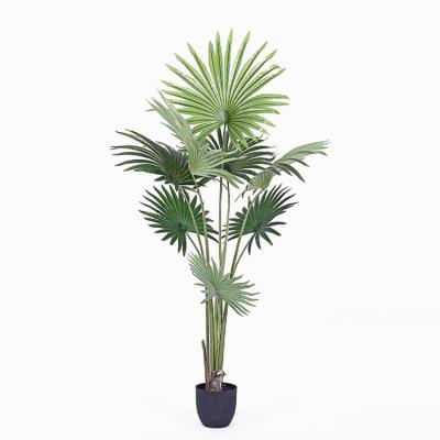 China Wholesale High Simulation Greenery Fan Palm Tree Garden Desktop Decoration Artificial Fake Plants Artificial Plastic Bonsai Tree For Indoor for sale