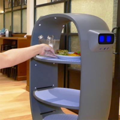 China Hotels Keenon AI Smart Smart Robot in Restaurant Delivery Waiter Service Intelligent Human Robot for sale