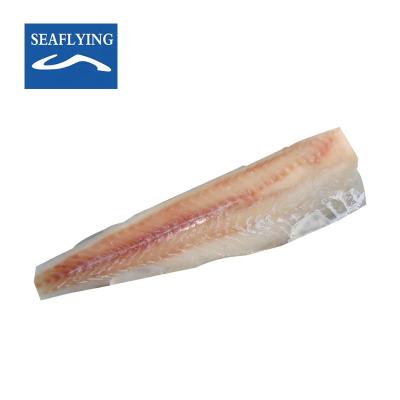 China NATURE'S Frozen Alaska Pollock Fillet For USA Market for sale