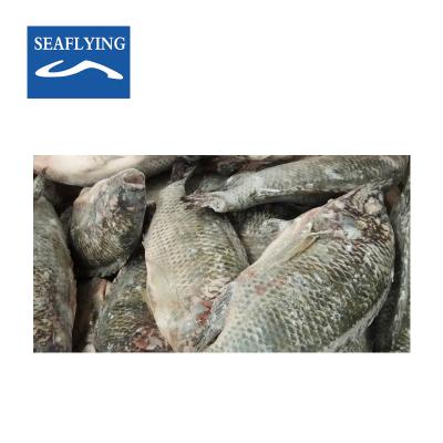 China Low fat low fat fresh frozen tilapia fish with fillet tilapia and clean fish for sale