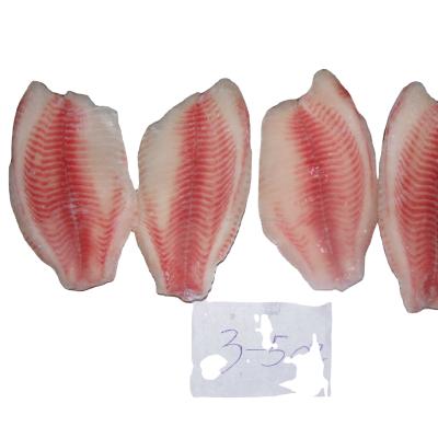 China 2021 hot-selling low-sugar low-sugar frozen tilapia fish frozen seafood for sale