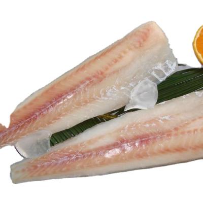 China Alaska Low Sugar Pollock Fillet, Pollock Fish for sale