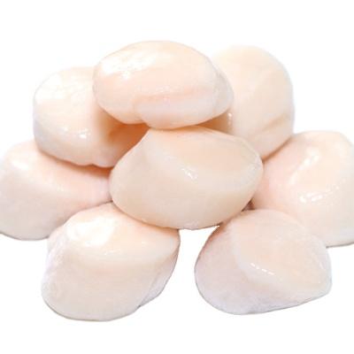 China Frozen sea scallop FROZEN FROZEN for sale