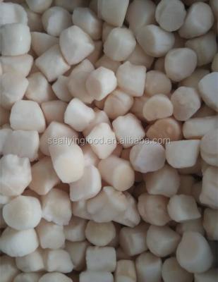 China New FROZEN FROZEN arrived Chinese bay scallop meat for sale