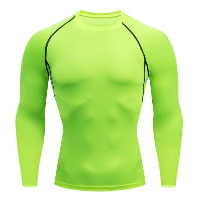 China Breathable Professional Rashguard Men's Fitness Full Sleeve Training Shirts Compression Gym Shirts for sale