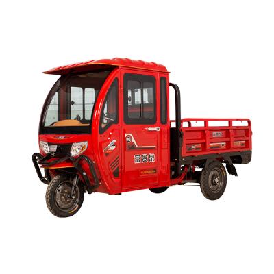 China Popular Electric Cargo Cargo Tricycle Cased Drive Style 60v Voltage Motor Tricycle for sale