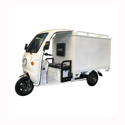 China Cargo Kenya Cargo Tricycle Cabin 1100W Closed Motor Tricycle For Sale for sale