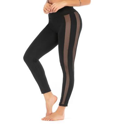 China Wholesale Antibacterial Ladies Shaping Gym Wear Mesh Net Leggings Sexy Women Plus Size Yoga Pants Workout Clothing for sale