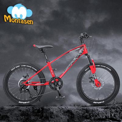 China Montasen MB02 Quality Steel Kids Bike 20 Inch Kids Bike Frame Magnesium Kids Bike for sale