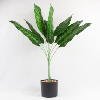 China Real Touch Green Hot Fake Acrylic Artificial Plants for Bamboo Eucalyptus Wedding Bird Paradise Palm Cactus Snake Outdoor for sale