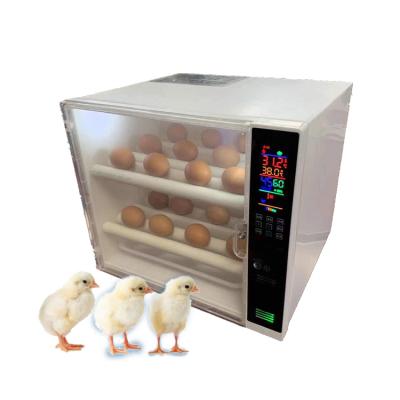 China Full Automatic Digital Egg Incubator 60 Pcs Incubator For Chicken Egg Hatching Egg Mini Cheap Auto Turning Incubator for sale