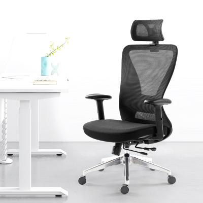 China Home Office 2D Ergonomic Office Chair Boss Chair With Lumbar Support Function Rotation Data Entry Mesh Computer Chair for sale