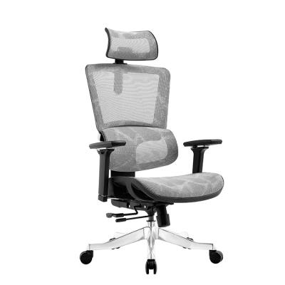 China (Size) New High Quality Mesh Office Chair Ergonomic Office Chair Adjustable Model Mesh Chair For Office Home School Customized for sale