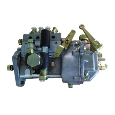 China Construction Material Shops Weichai495 Diesel Engine Parts Weichai495 Fuel Injection Pump Assy for sale